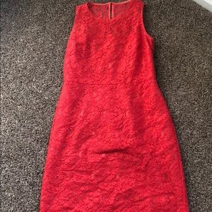 Beautiful lace J crew dress